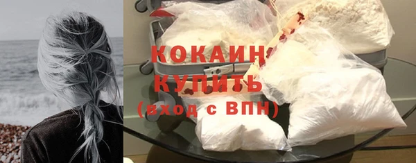 прущая мука Дмитриев