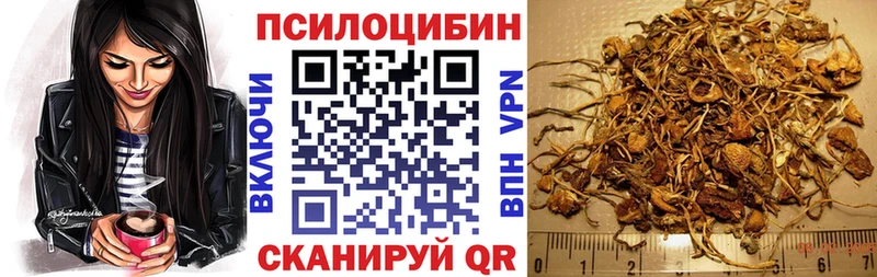 как найти закладки  Печоры  Псилоцибиновые грибы Magic Shrooms 